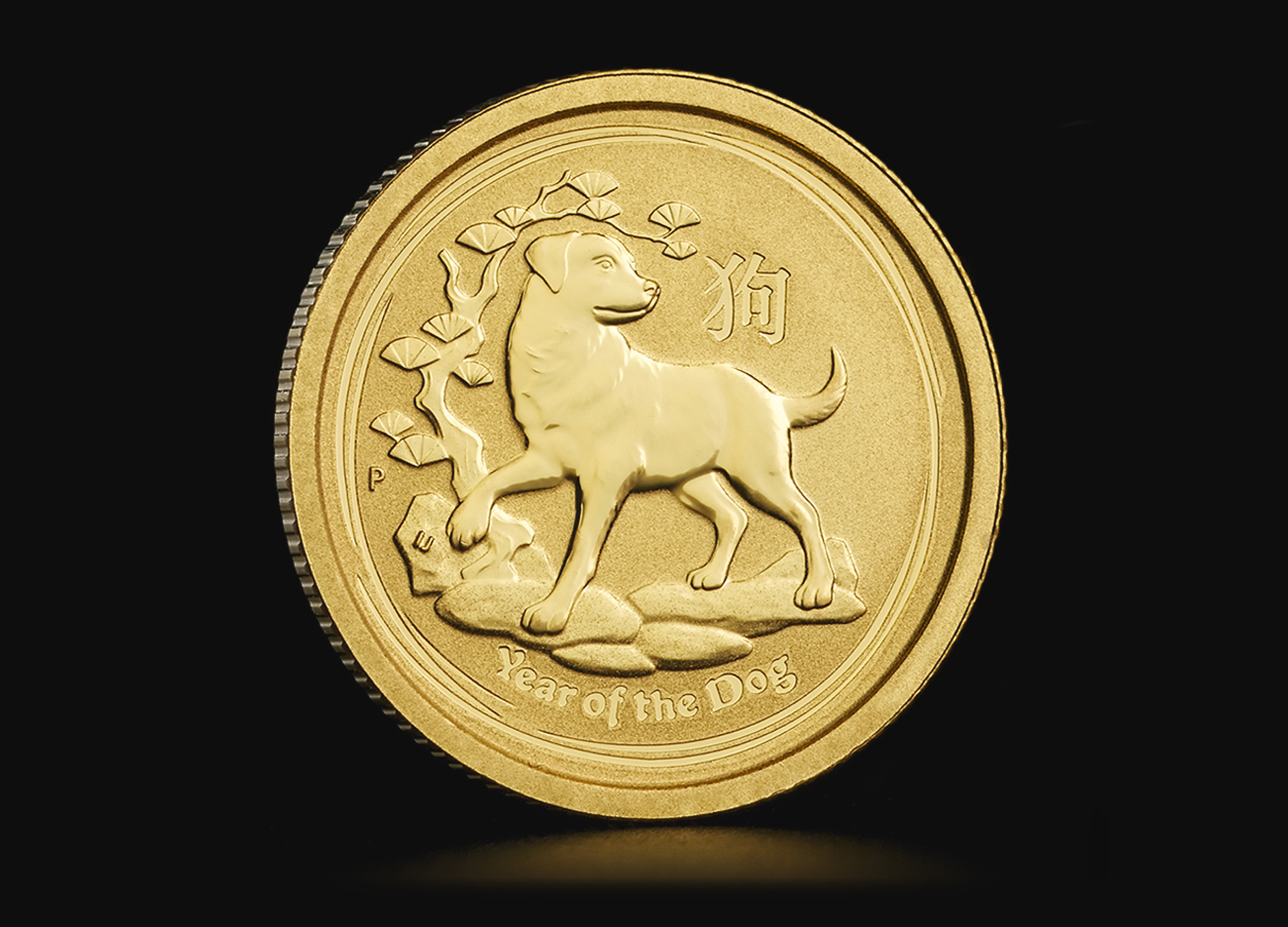 Złota moneta Australijski Lunar Rok Psa 2018 1/20 oz