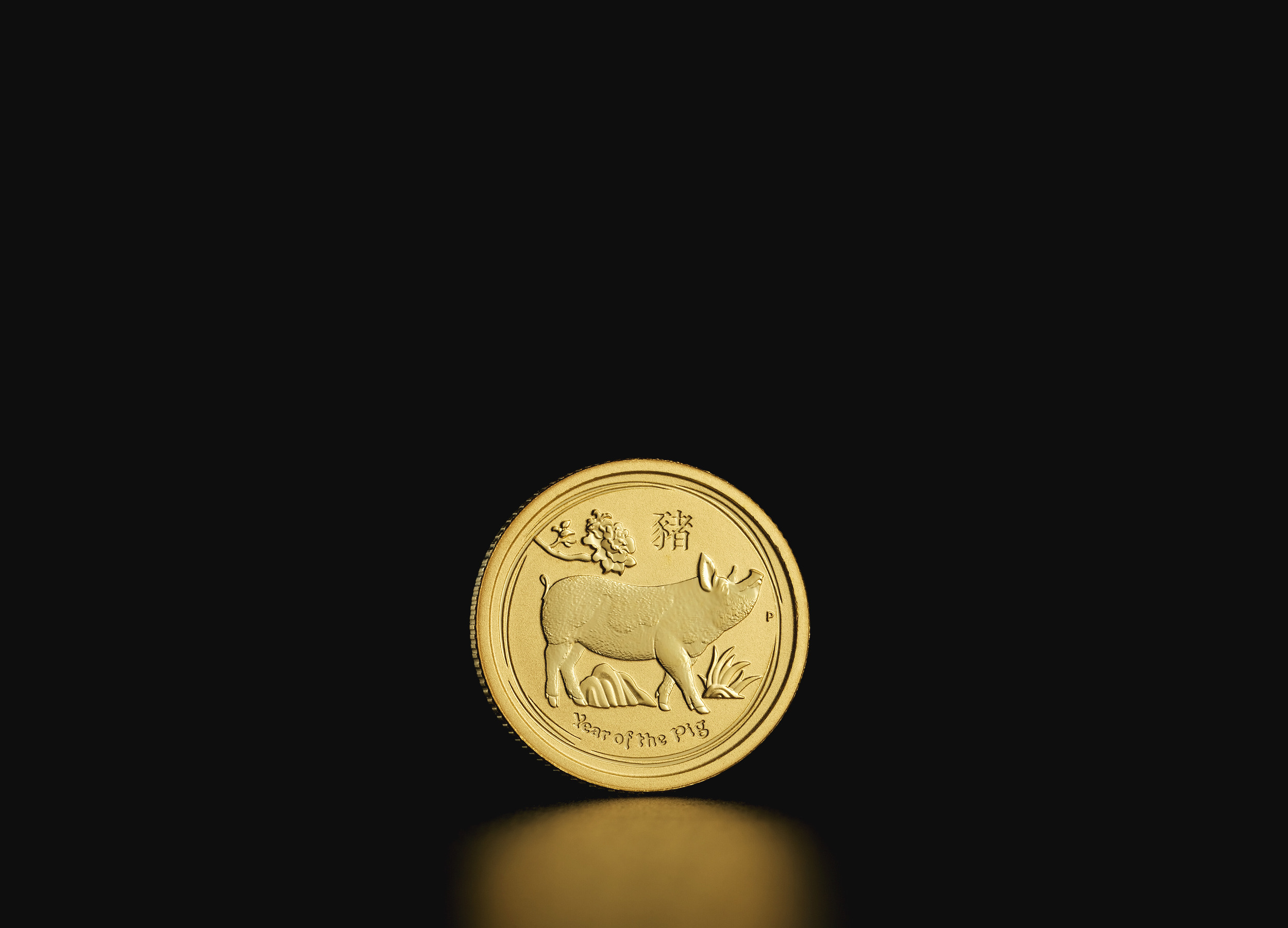 Złota moneta Australijski Lunar Rok Świni 2019 1/20 oz