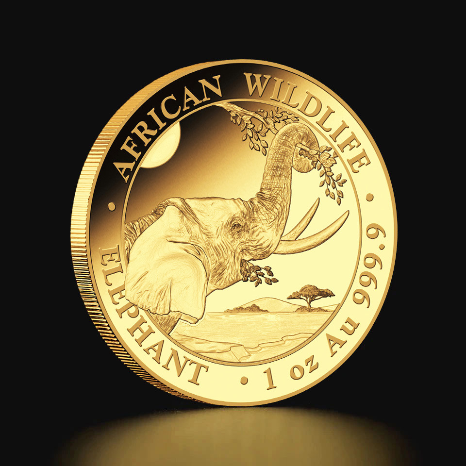 Złota moneta Somalijski Słoń 1 oz