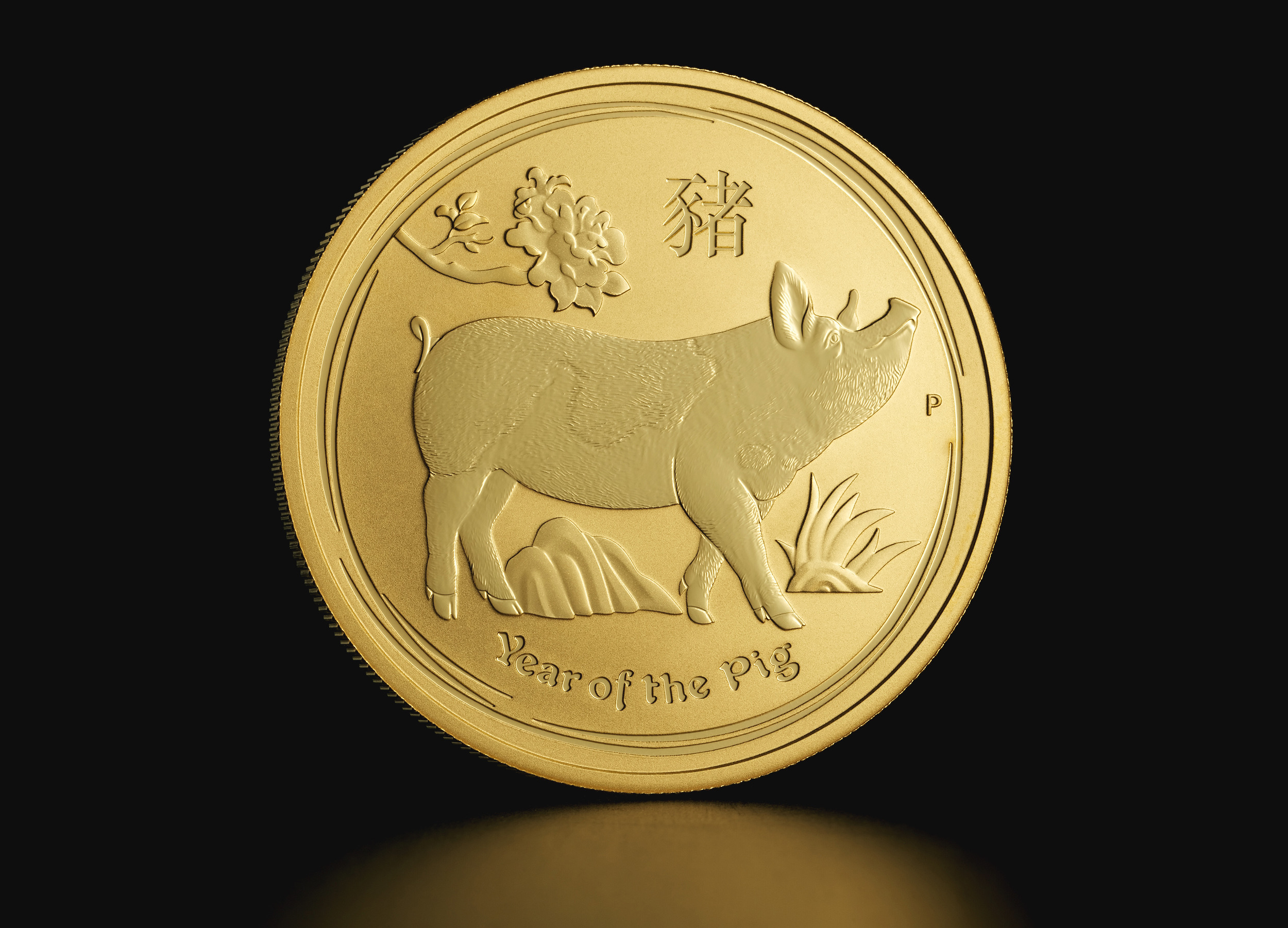 Złota moneta Australijski Lunar Rok Świni 2019 1 oz