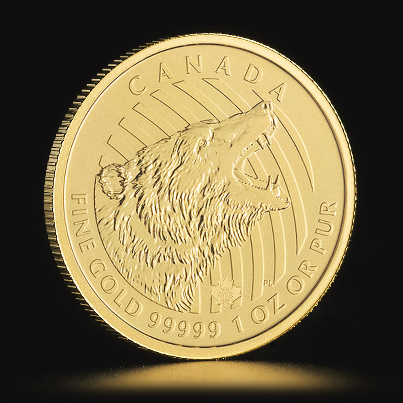 Złota moneta Kanadyjski Zew Natury – Niedźwiedź 2016 1 oz