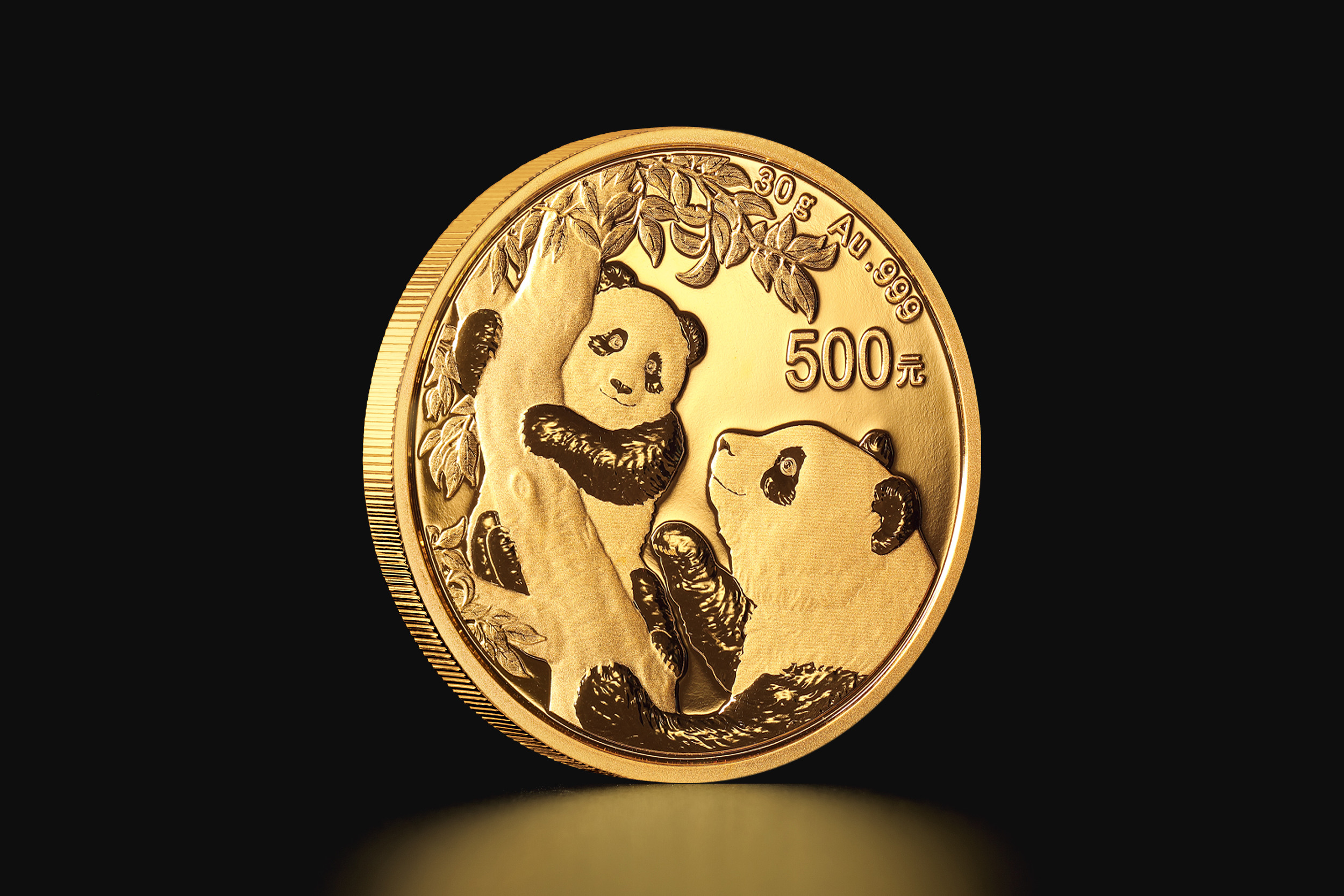 Złota moneta Chińska Panda – Rok 2021 30 g