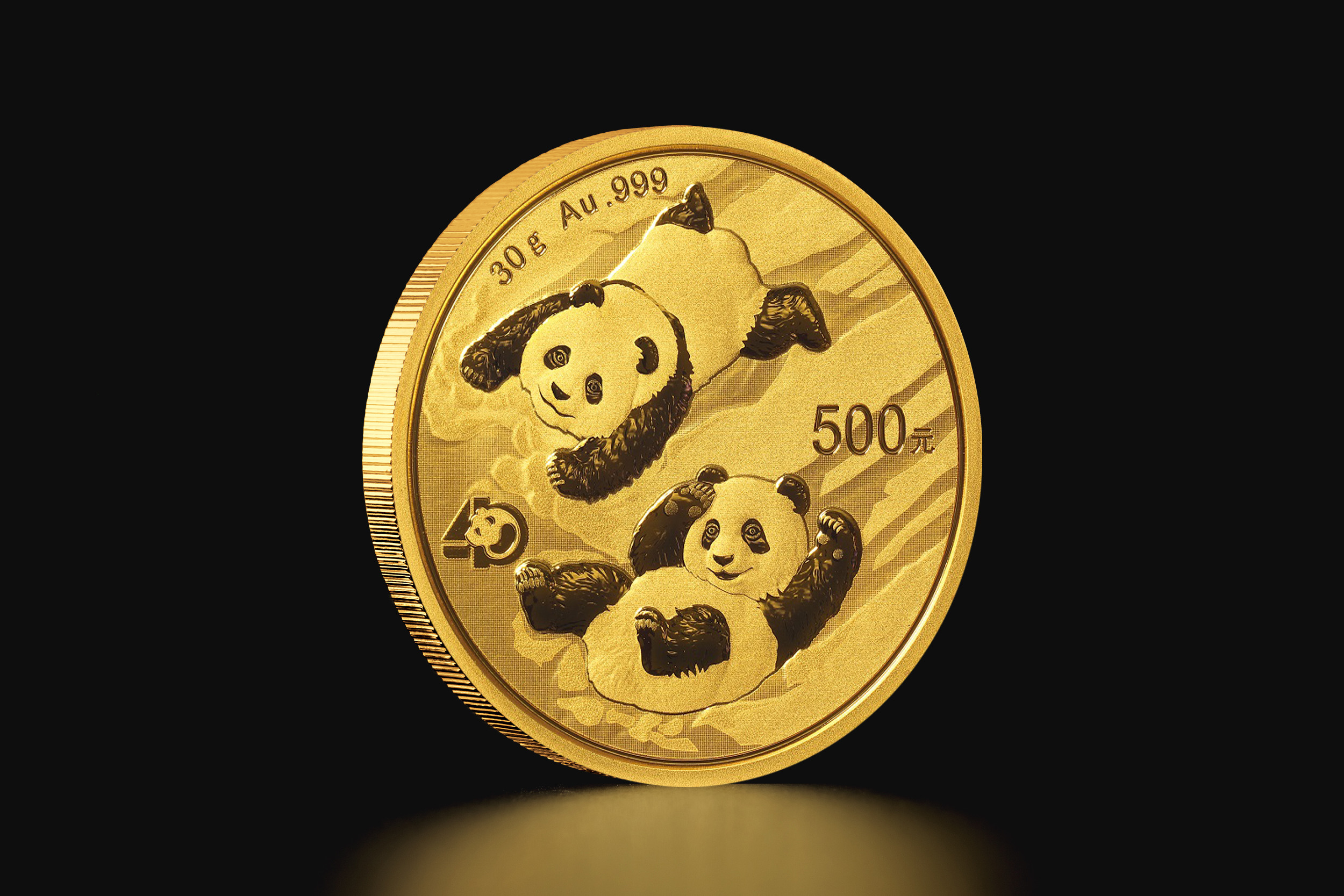 Złota moneta Chińska Panda – Rok 2022 30 g