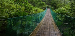 Waluta Kostaryki - jaką walutę zabrać na Kostarykę?