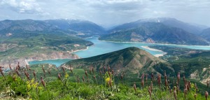 Jaką walutę zabrać do Uzbekistanu - waluta Uzbekistanu.